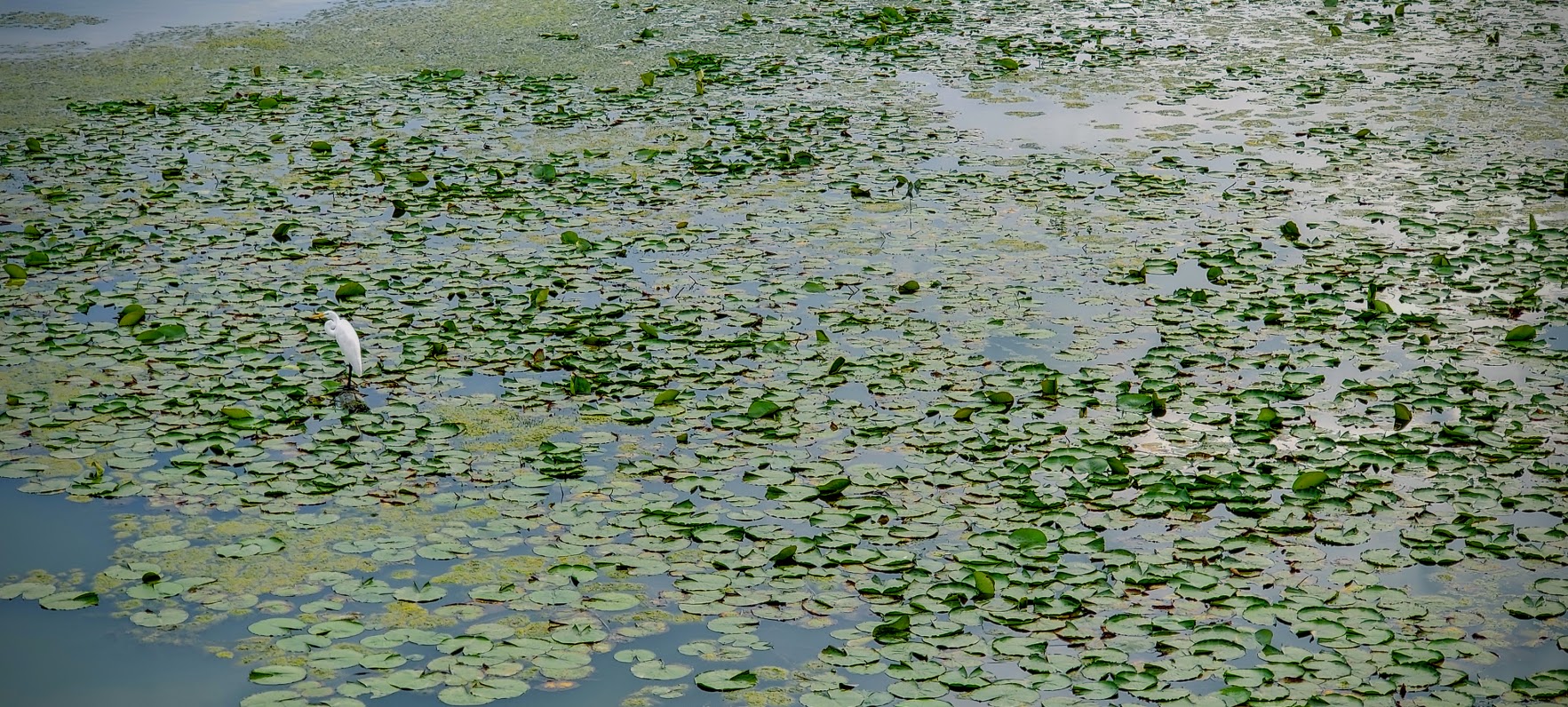Geist Reservoir - East